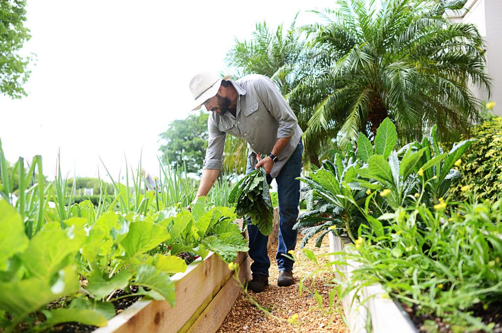 Venice-Magazine-Summer-2016-Farmer-Jay-Jason-McCobb-Nila-Do-Simon-Alissa-Dragun-Jr.-Sprouts-Pure-Organics