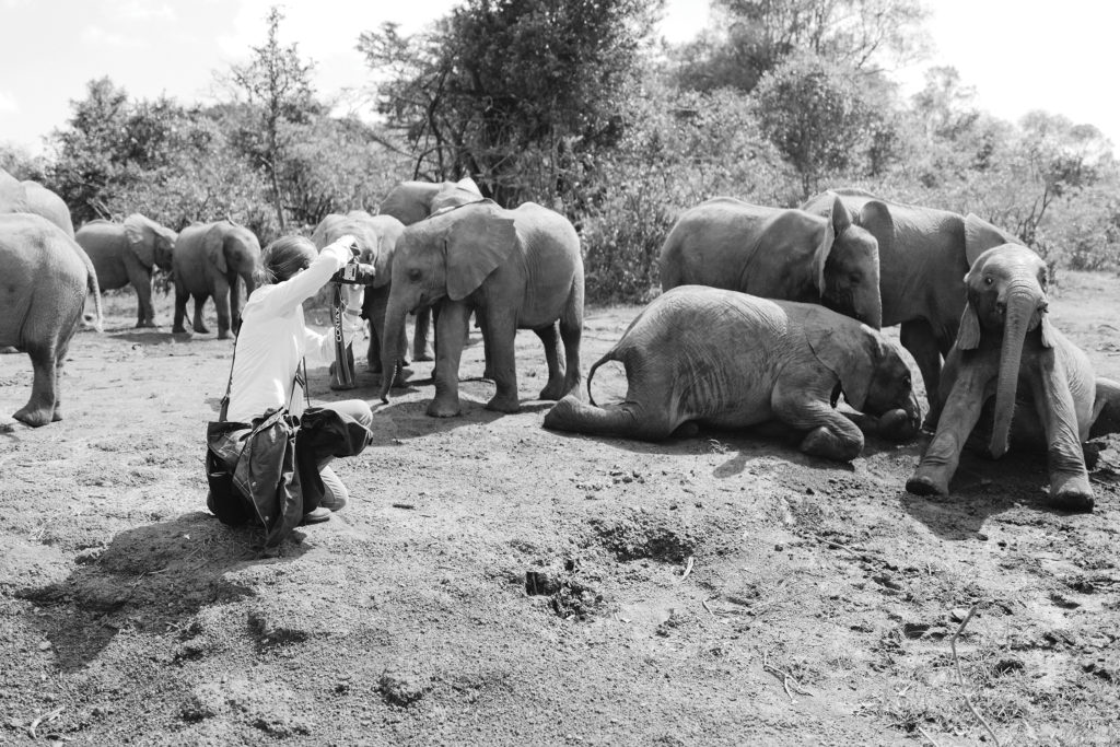 KT-Merry-Render-Loyalty-Photography-Animals-Photographer-Chad-Merry-Aventura-Fort-Lauderdale-Venice-Magazine-Charlie-Crespo-Kenya-Lewa-Wildlife-David-Sheldrick-Elephant