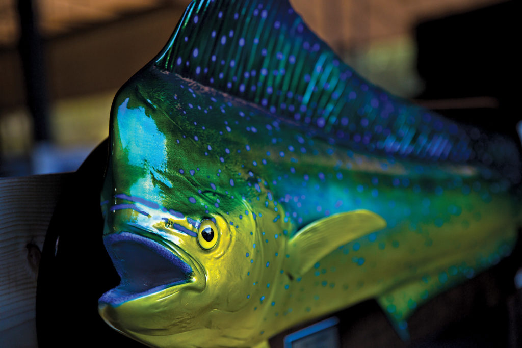 Catch-and-Release-Lola-Thélin-Scott-McIntyre-Gray-Taxidermy-Fort-Lauderdale