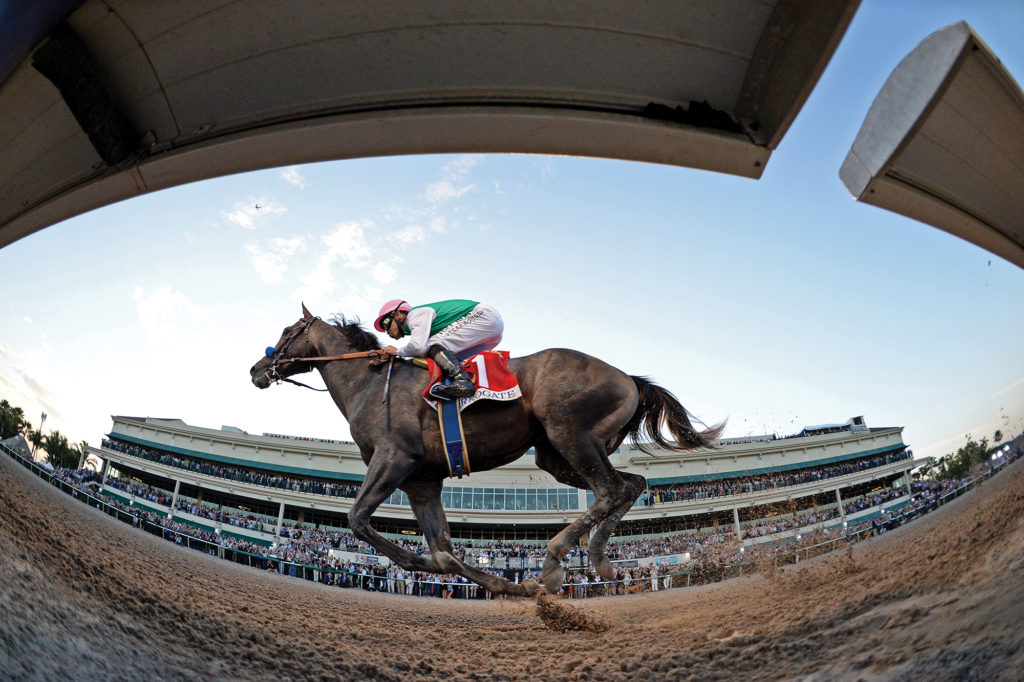 Arrogate-Gulfstream-Park-pegasus-world-cup-thoroughbred-horse-racing-belinda-stronach-venice-magazine-fort-lauderdale